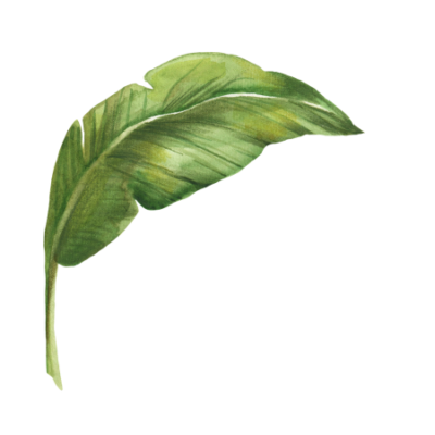 banana leaf1